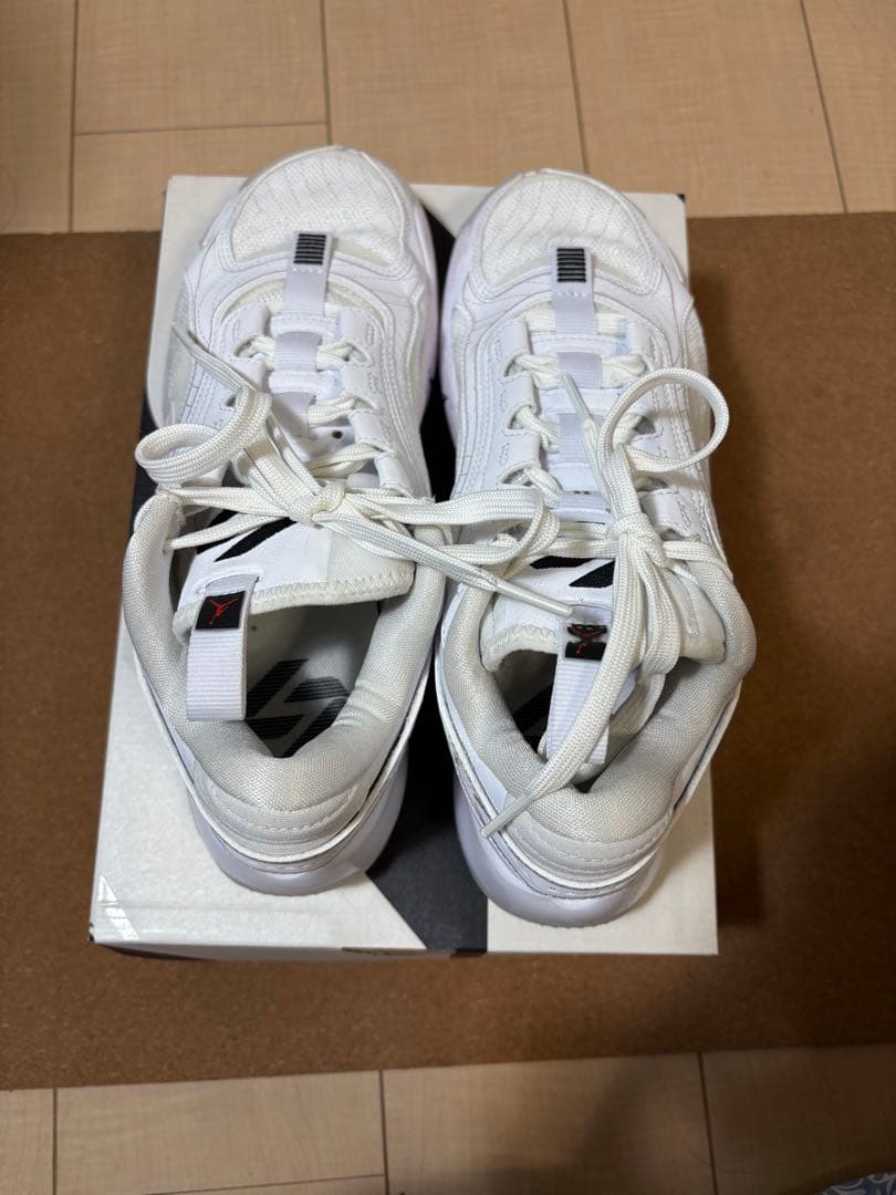 JORDAN LUKA2 ルカ2 25.0cm