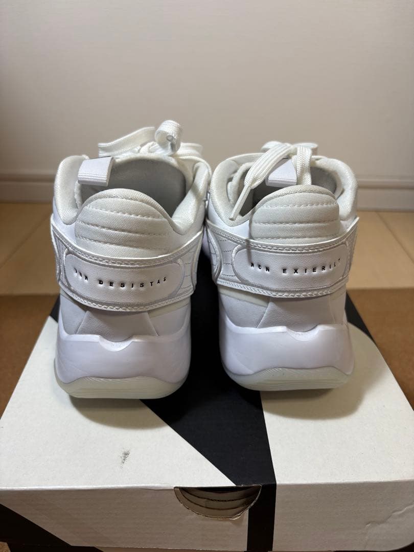 JORDAN LUKA2 ルカ2 25.0cm