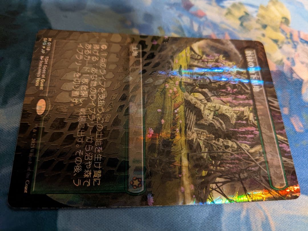 新緑の地下墓地　タルキール龍嵐録【ドラゴンスケイルFOIL】【日】新品　未使用