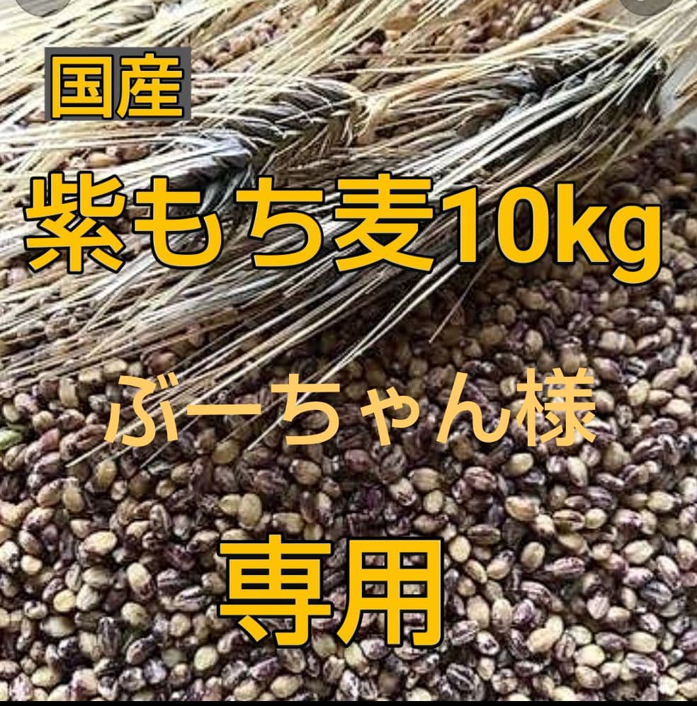 ぶーちゃん もち麦10kg 紫もち麦 ダイシモチ 食べやすく精麦済