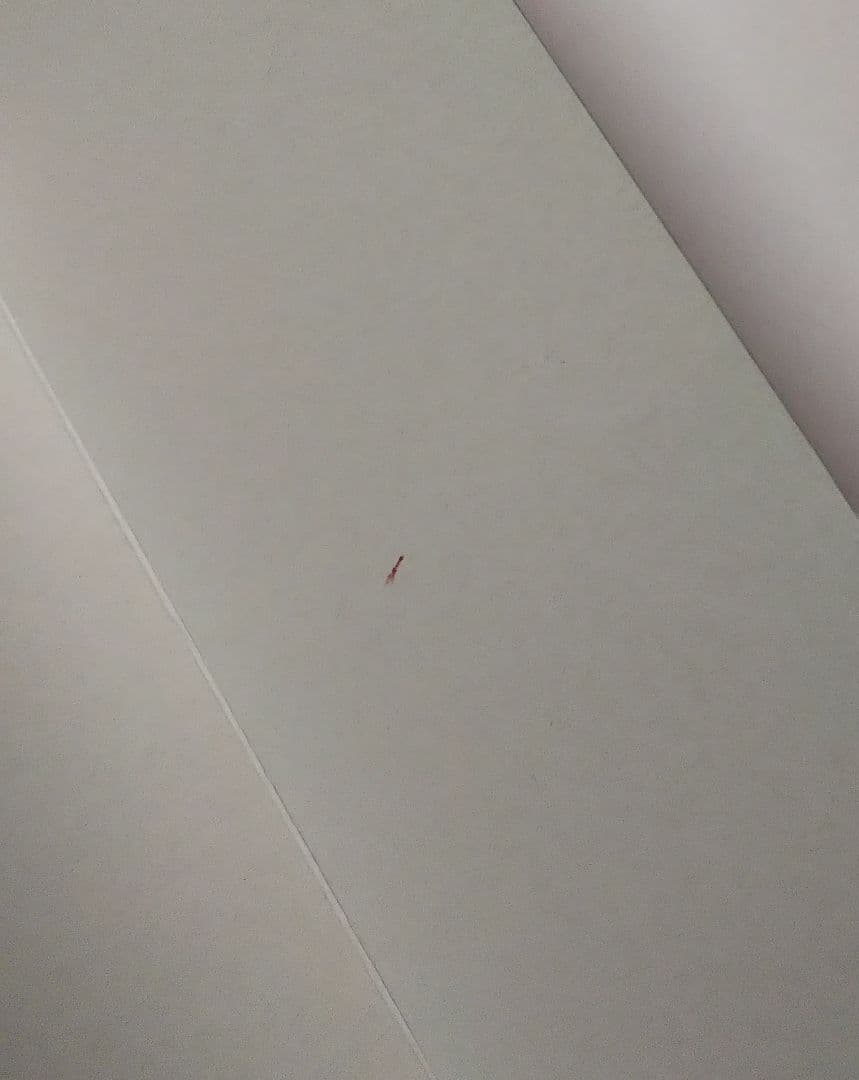 MG ガンダム Ver.2.0