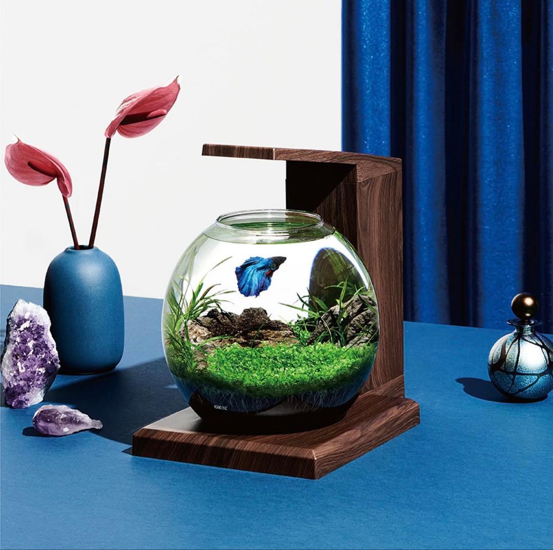 GEX グラスアクア PERCO ダークウッド ペルコ