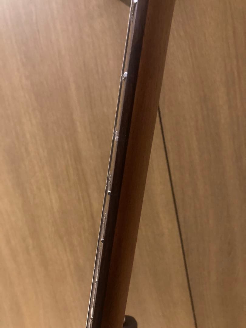 ギター Cort G300 Raw