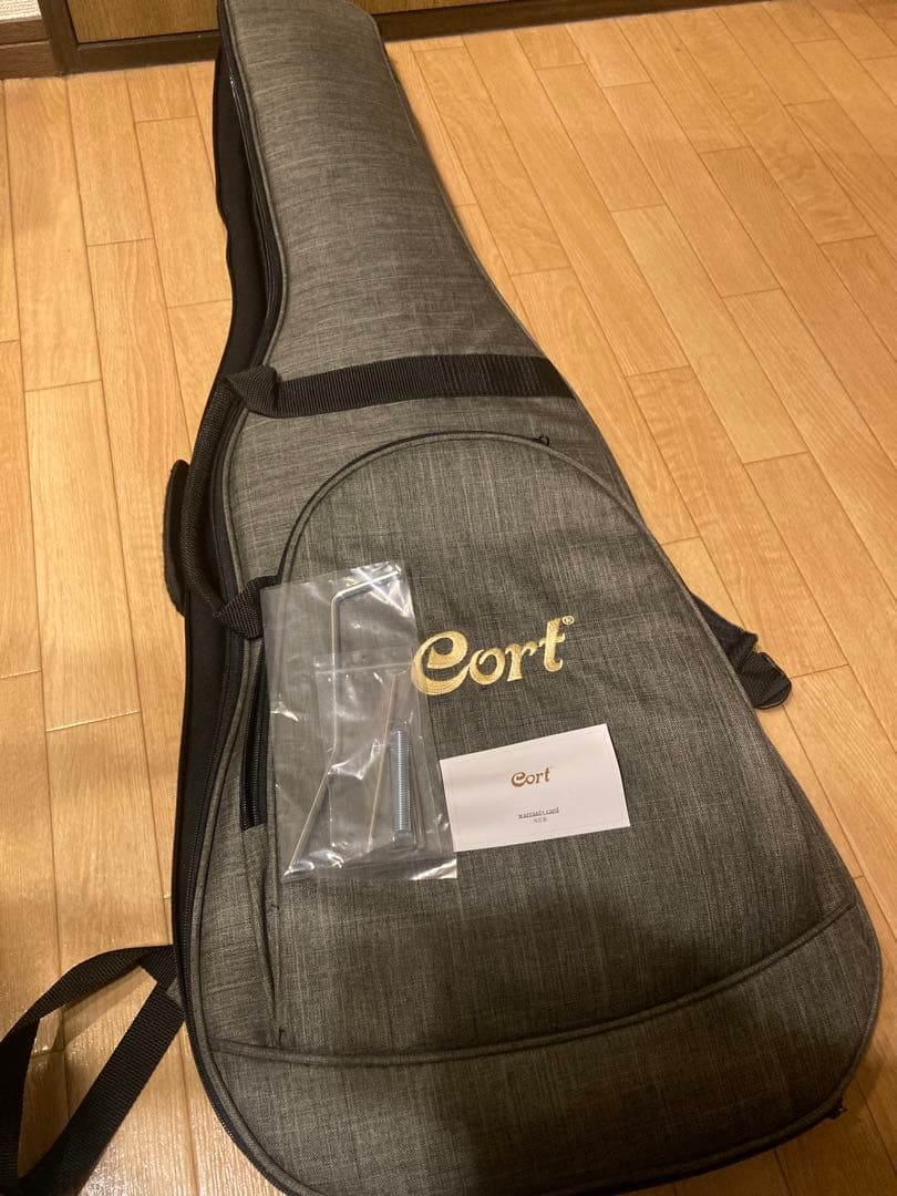 ギター Cort G300 Raw