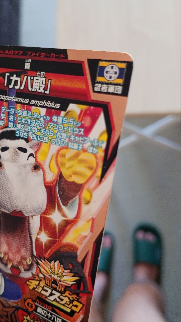 バラ売りOK！アニマルカイザーカバ零郎、カバ殿まとめ売り美品