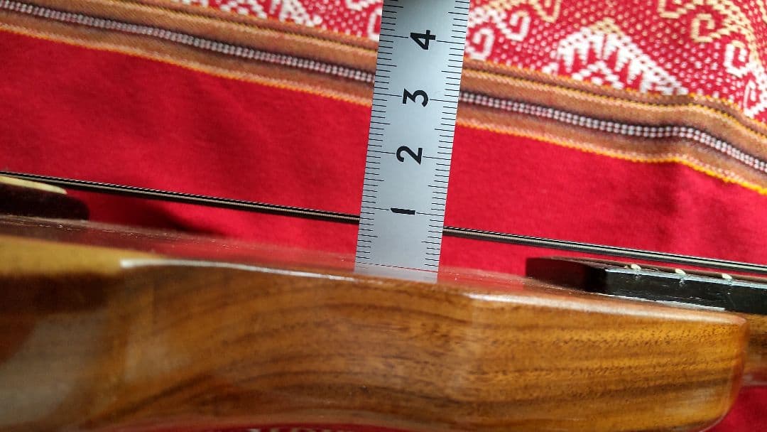 エレキチャランゴ