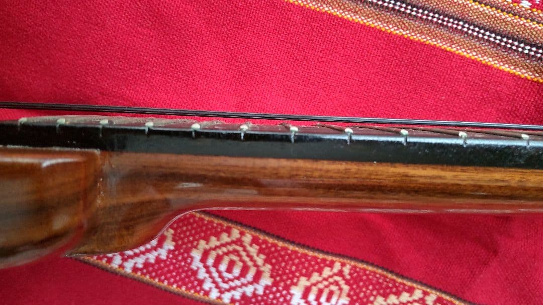 エレキチャランゴ