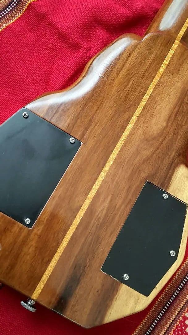 エレキチャランゴ