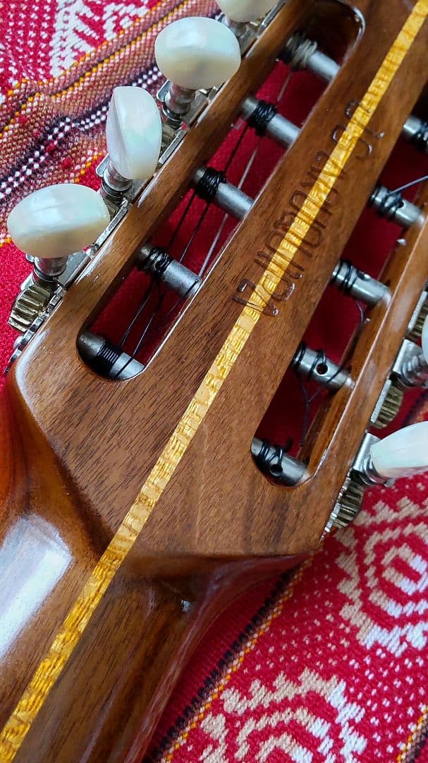 エレキチャランゴ