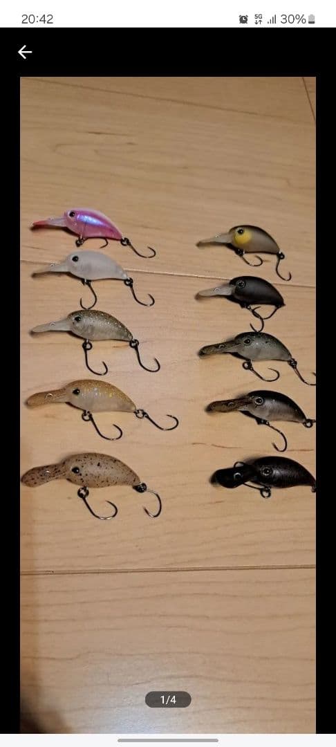 ティモン パニクラ MR ① 10個セット