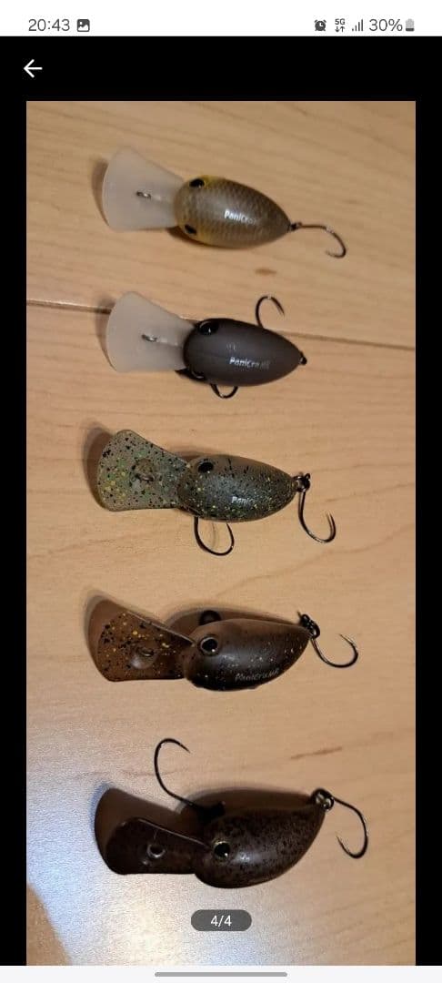 ティモン パニクラ MR ① 10個セット