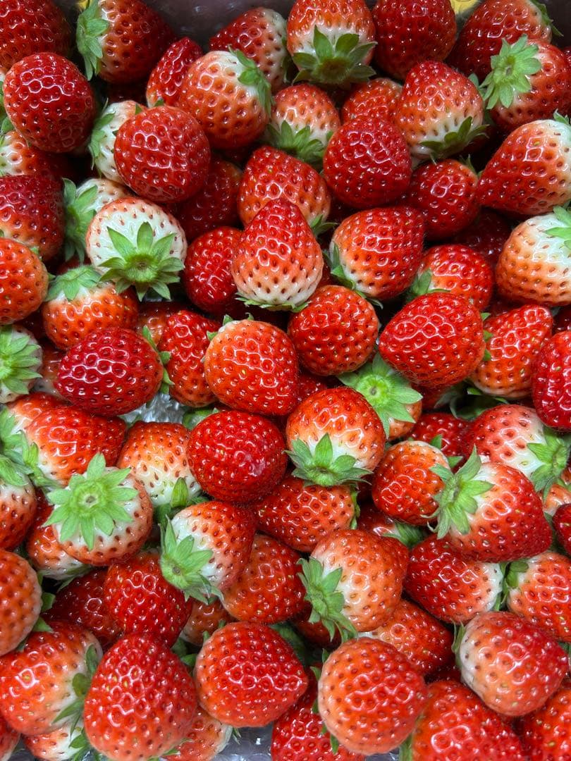 佐賀県産　大容量小粒いちご2kg