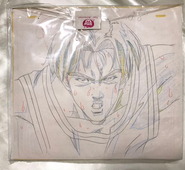 slam dunk スラムダンク　セル画　映画　南郷洸一郎　全国制覇だ！桜木花道