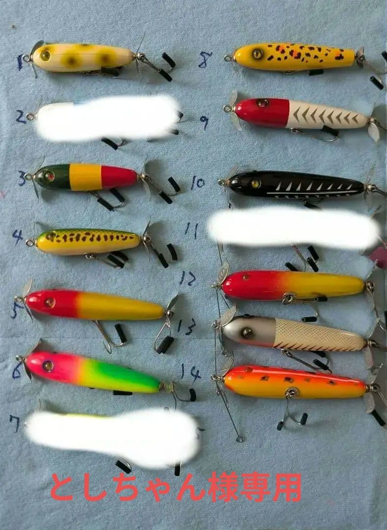 ズイール‼️ロジック‼️セット‼️ としちゃん‼️