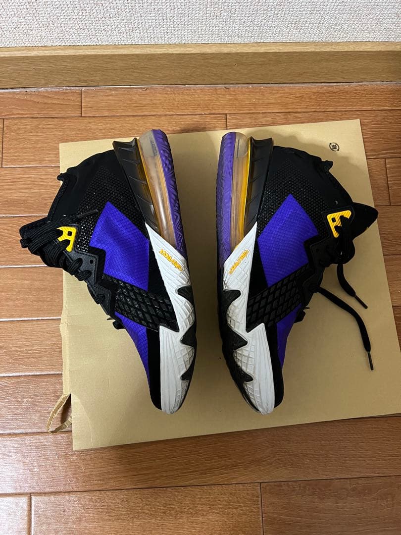 Nike バスケットボールシューズ　ブラック/パープル