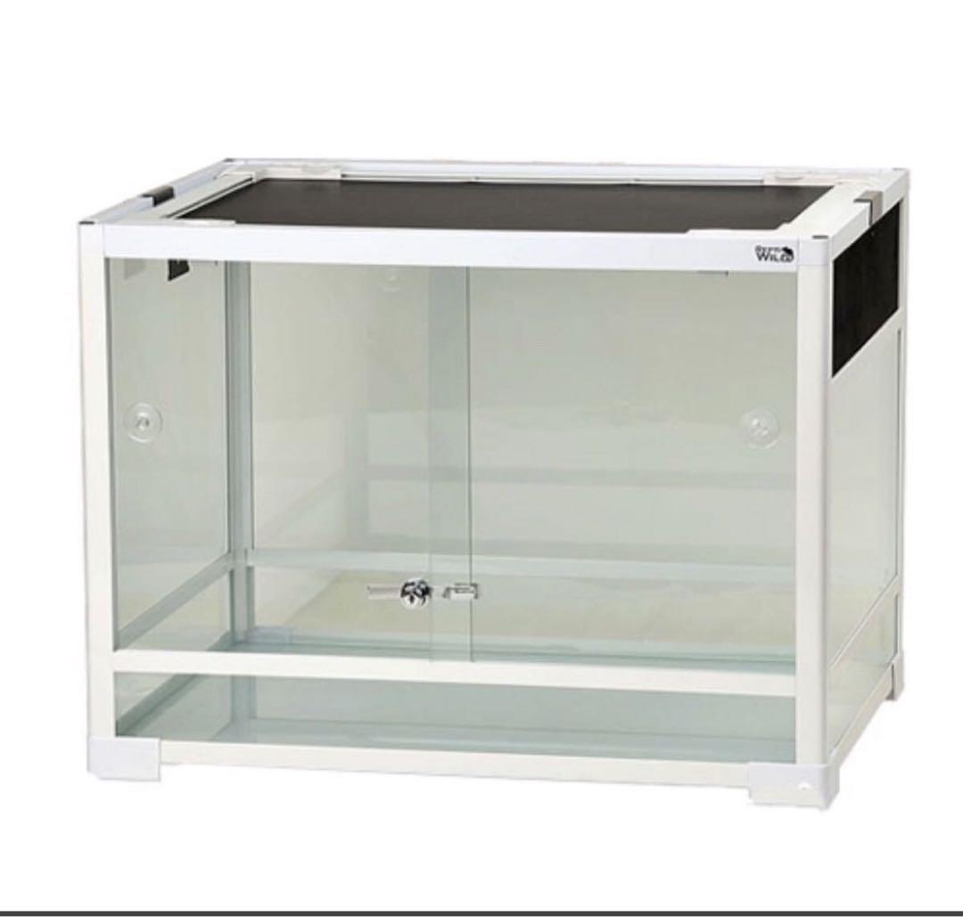 パンテオン60×45