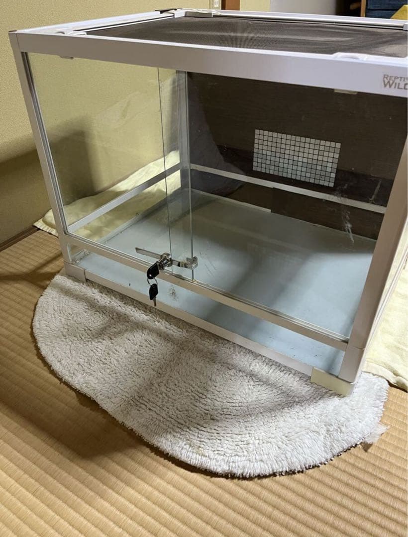 パンテオン60×45