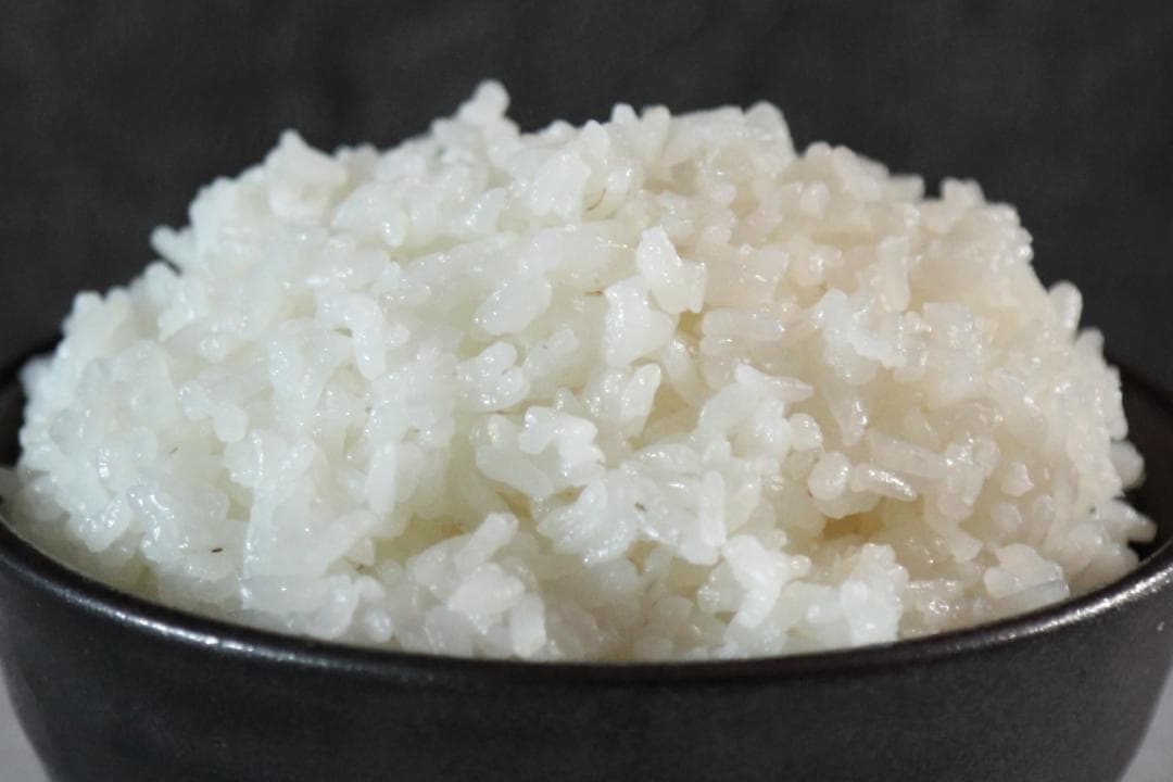 お米 農林8号 精米(七分づき) 9kg｜農薬不使用・肥料不使用｜自然栽培米