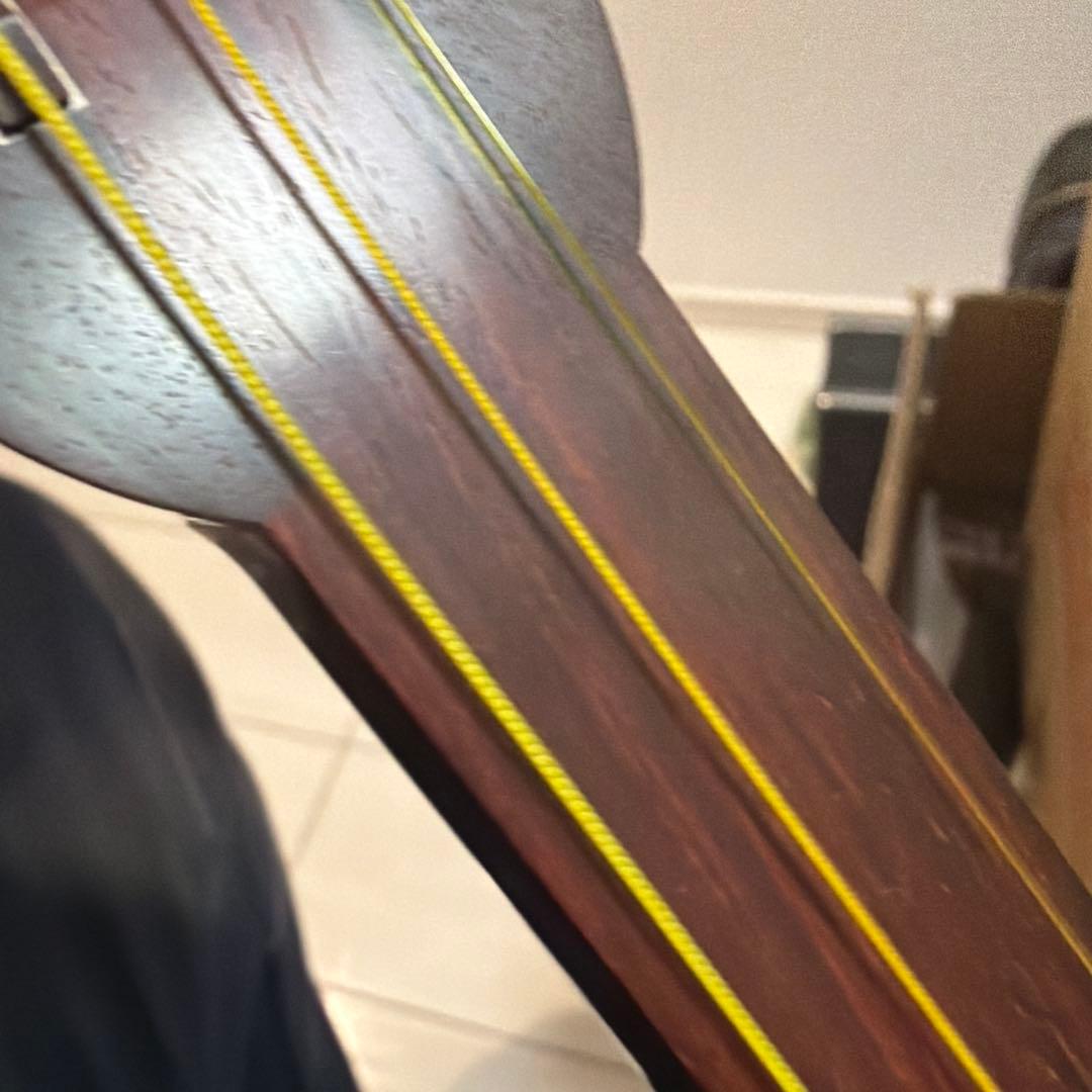 三味線本体 ケース・教本付き