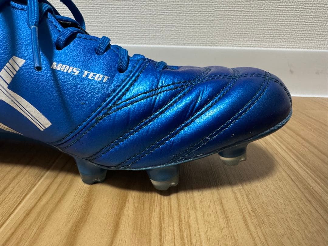 シューズ asics DS LIGHT X-FLY5 25cm