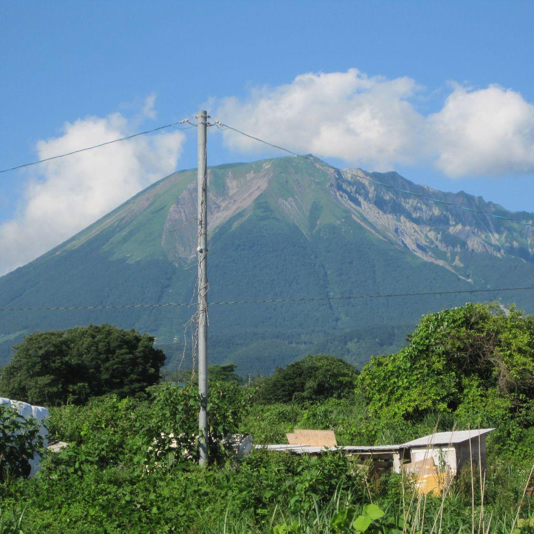 ✨アカシア蜂蜜５本&百花蜜５本　生はちみつ　非加熱ハチミツ