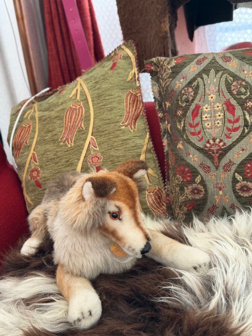 シュタイフ　コリー　オールドシュタイフ