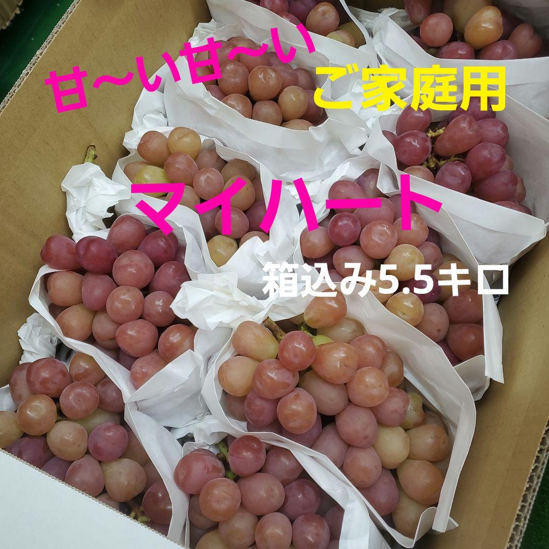1⃣2️⃣ 山梨県産 マイハート １０房入り 箱込み5.5キロ