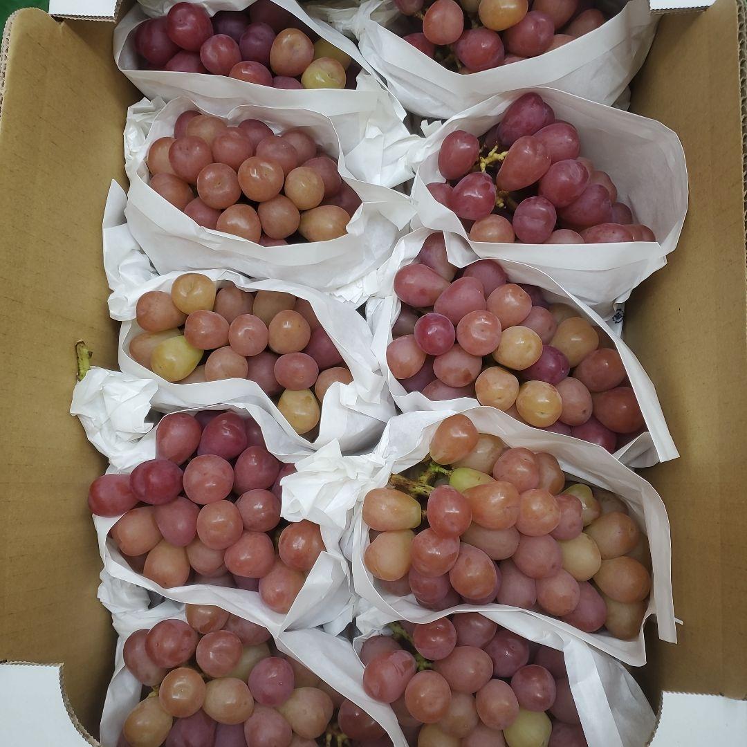 1⃣2️⃣ 山梨県産 マイハート １０房入り 箱込み5.5キロ