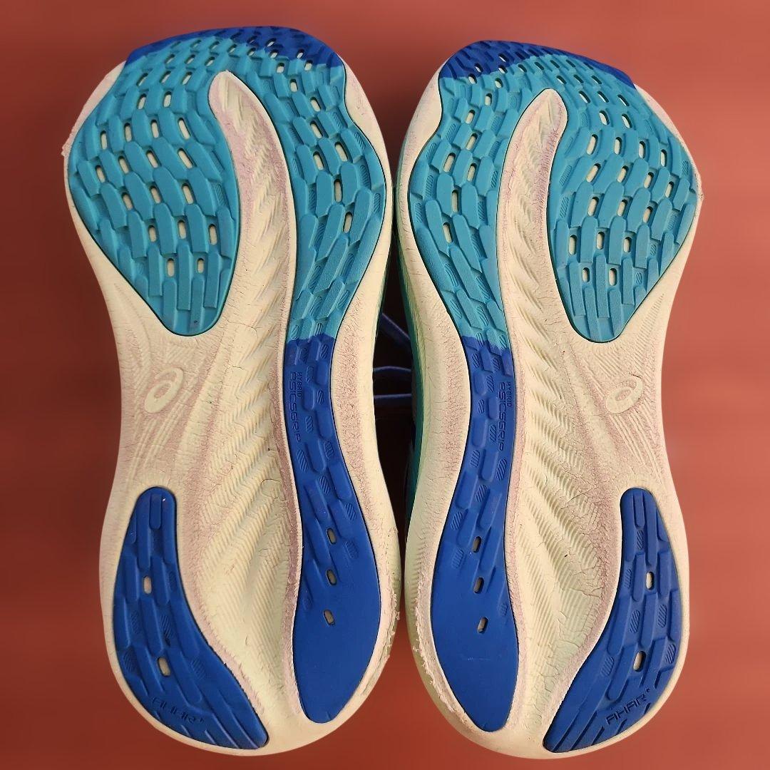 asics GEL-nimBUS FFBlast+　PureGEL 25.5cm