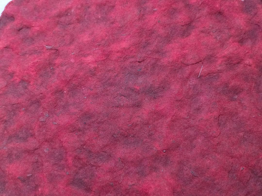 【赤字覚悟❗本物保証】臙脂綿（えんじわた）30cm超え大盤　戦前の日本画絵具染料