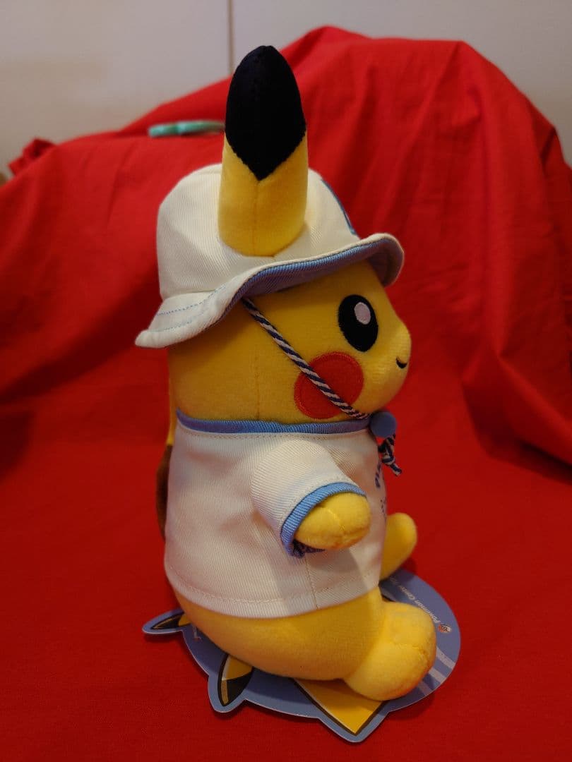 ポケモン トウキョーベイ デンリュウ ピカチュウ