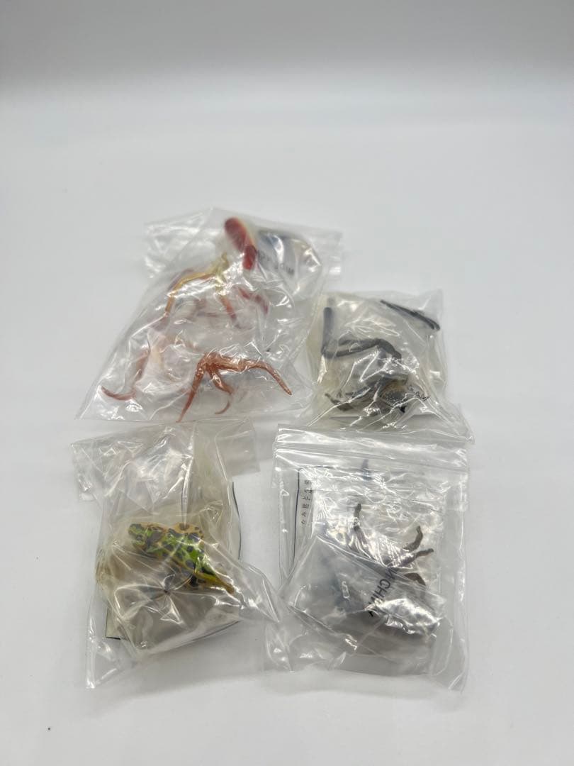 日本動物コレクションⅢ 東京