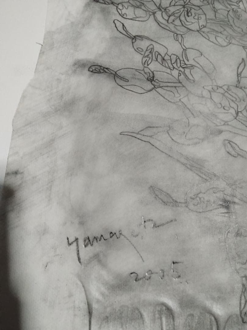 ヒロ・ヤマガタ植物直筆真作鉛筆木炭画ドローイング巨匠証明書あり額無しキャンバス