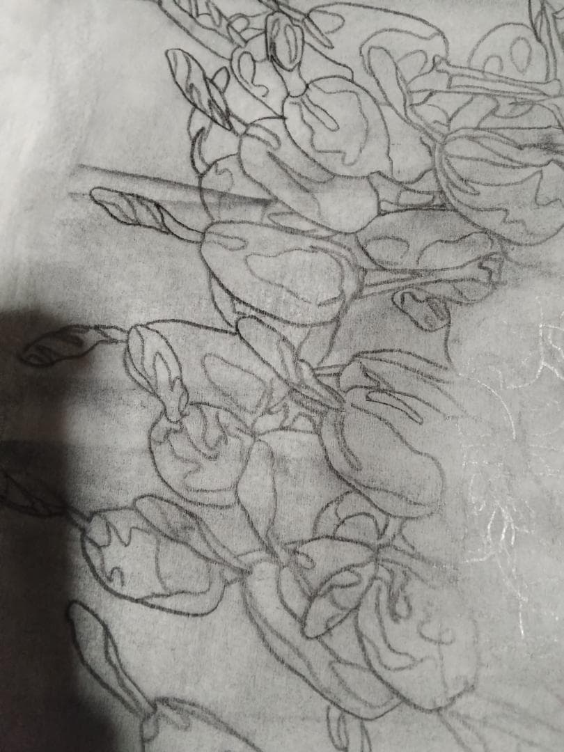 ヒロ・ヤマガタ植物直筆真作鉛筆木炭画ドローイング巨匠証明書あり額無しキャンバス