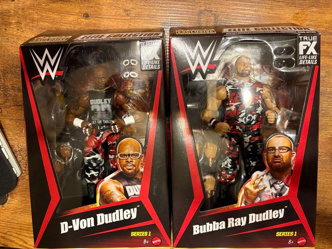 最終値下げWWE D-Von Dudley & Bubba Ray Dudley