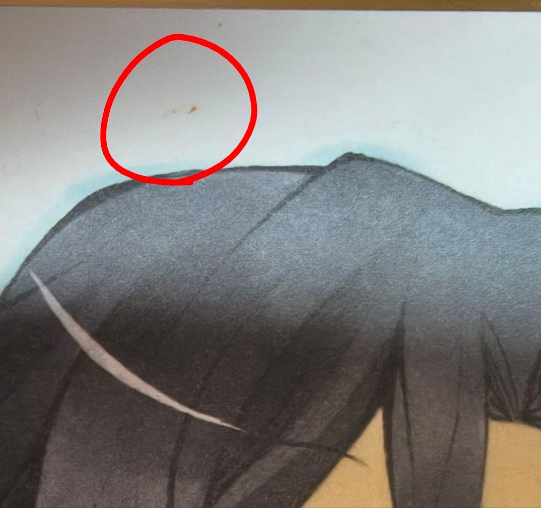 PandoraHearts パンドラハーツ 色紙 イラストパネル