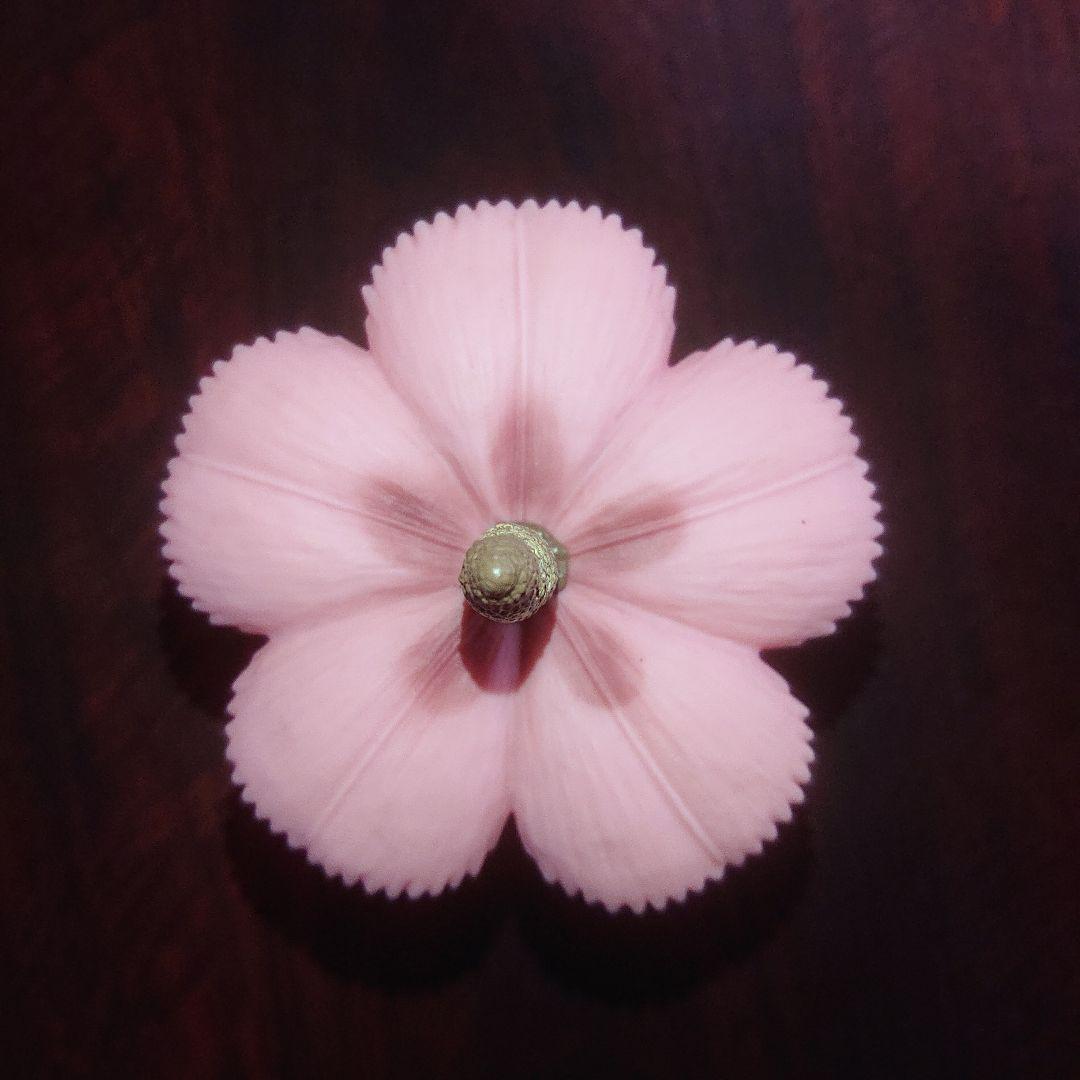 マンモスフラワー ソフビ