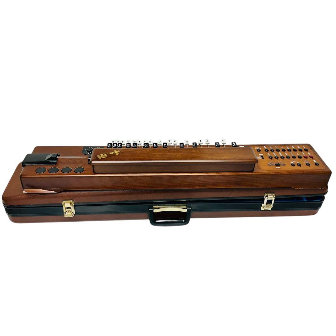 SUZUKI 大正琴　和楽　シンセサイザー　TES-100 ハードケース付き