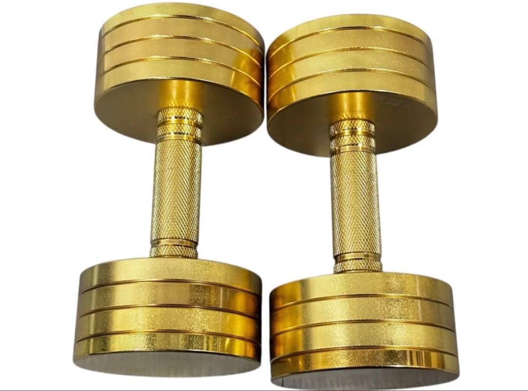 【美品】NORTHDEER サンドブラスト版 ゴールド 可変式ダンベル 10kg