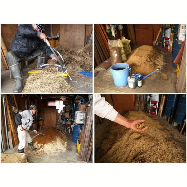 無農薬有機米コシヒカリ玄米２５kg（福井７年産新米）食味ランク最高 S・精米無料