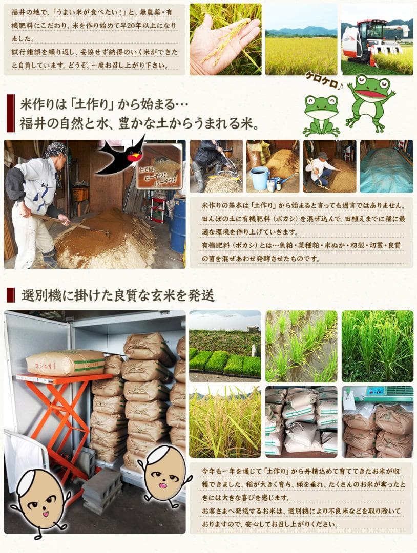 無農薬有機米コシヒカリ玄米２５kg（福井７年産新米）食味ランク最高 S・精米無料