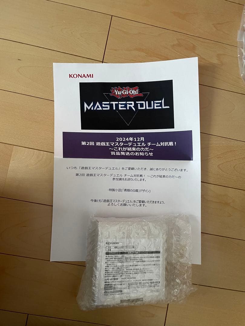 【通知書付】遊戯王マスターデュエル チーム対抗戦 青眼の白龍小皿