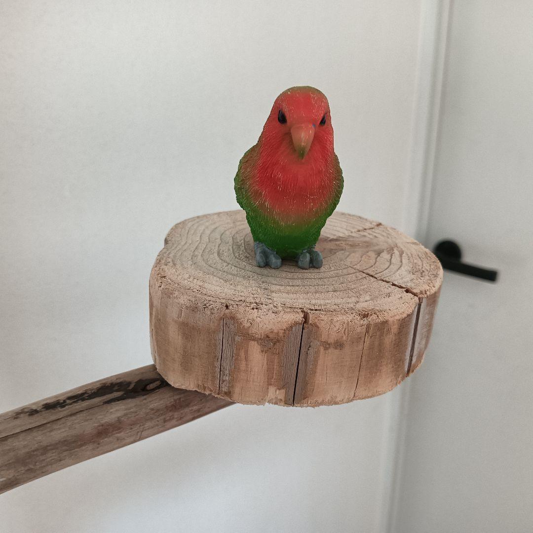 鳥羽 バードアスレチックジム大型 天然木 自然木 流木 インコ おもちゃ