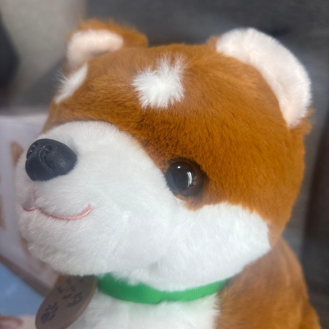 しばいぬコウタ　バンダナ無し