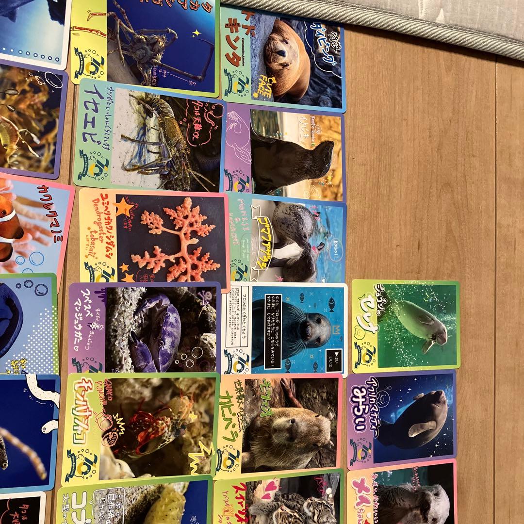 【週末値下げ中】鳥羽水族館コレクションカード　レアキラメイ