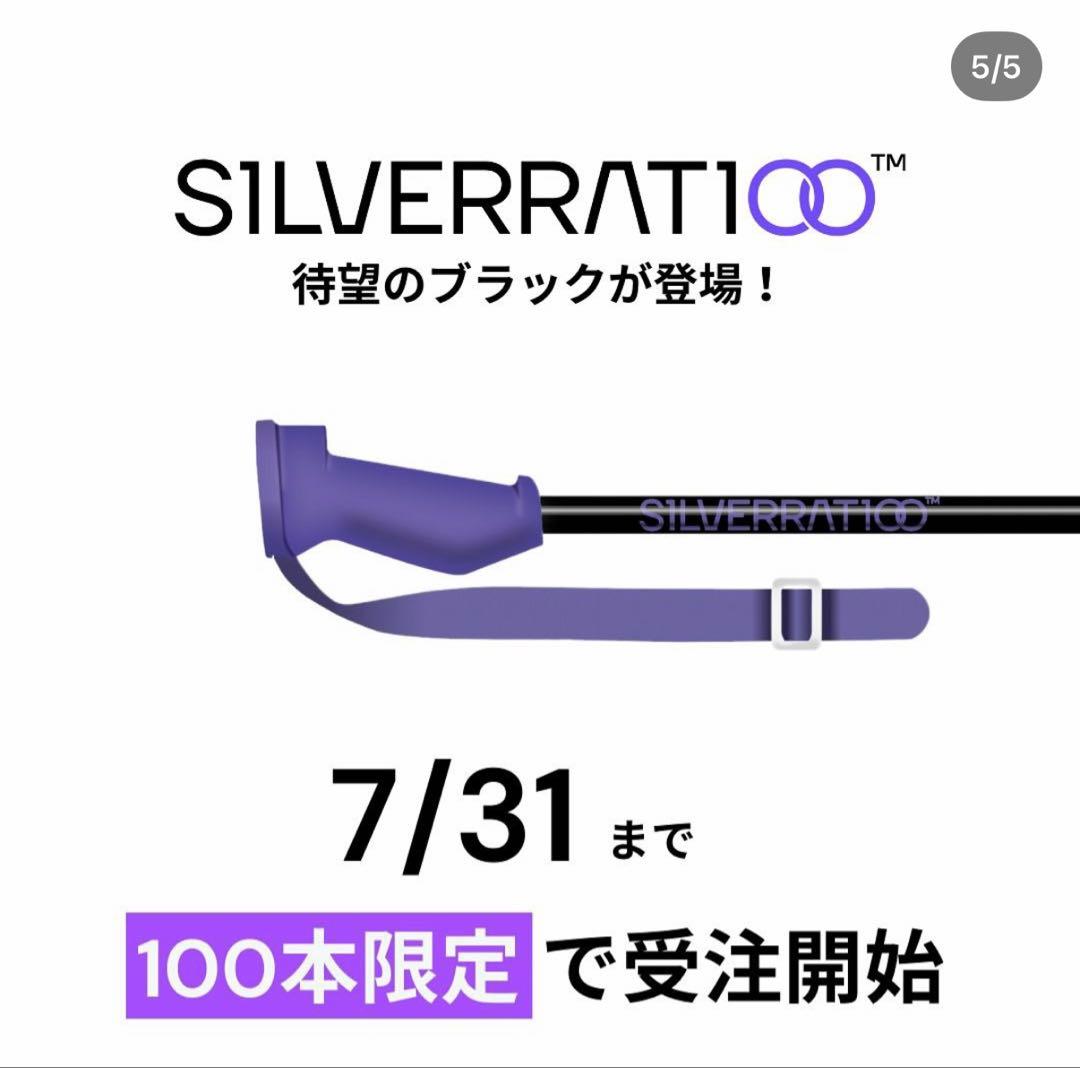 スキー SILVERRATIOO Performance Stock