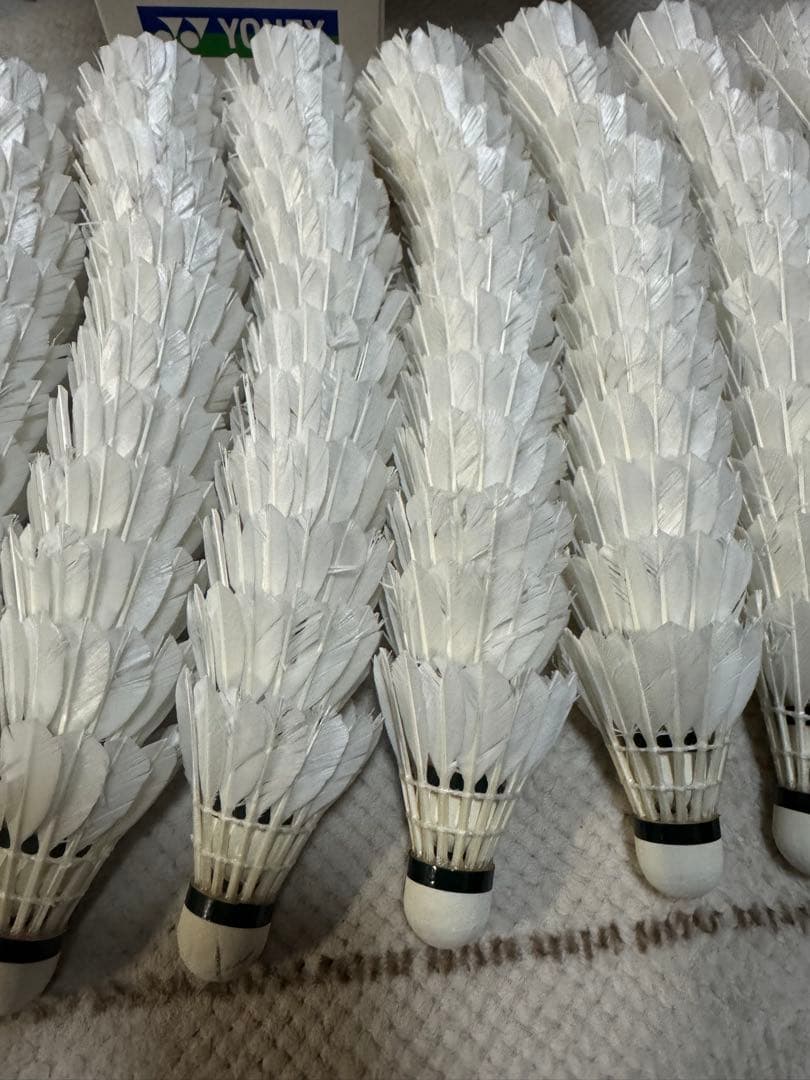 ニューオフィシャル　3番　ノックシャトル