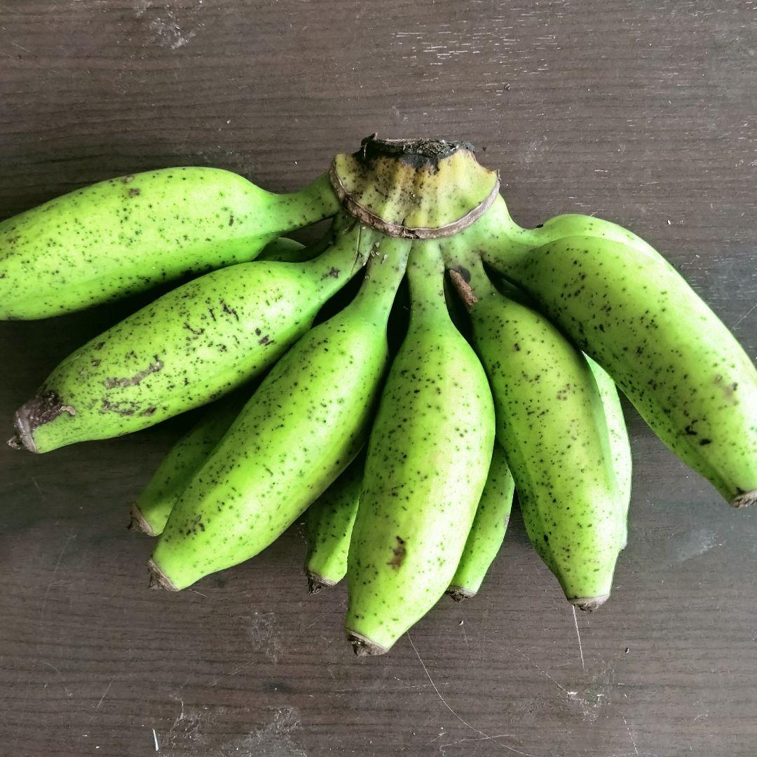 沖縄県産 島バナナ(小笠原種)Ｂ品 約10kg【常温便】①