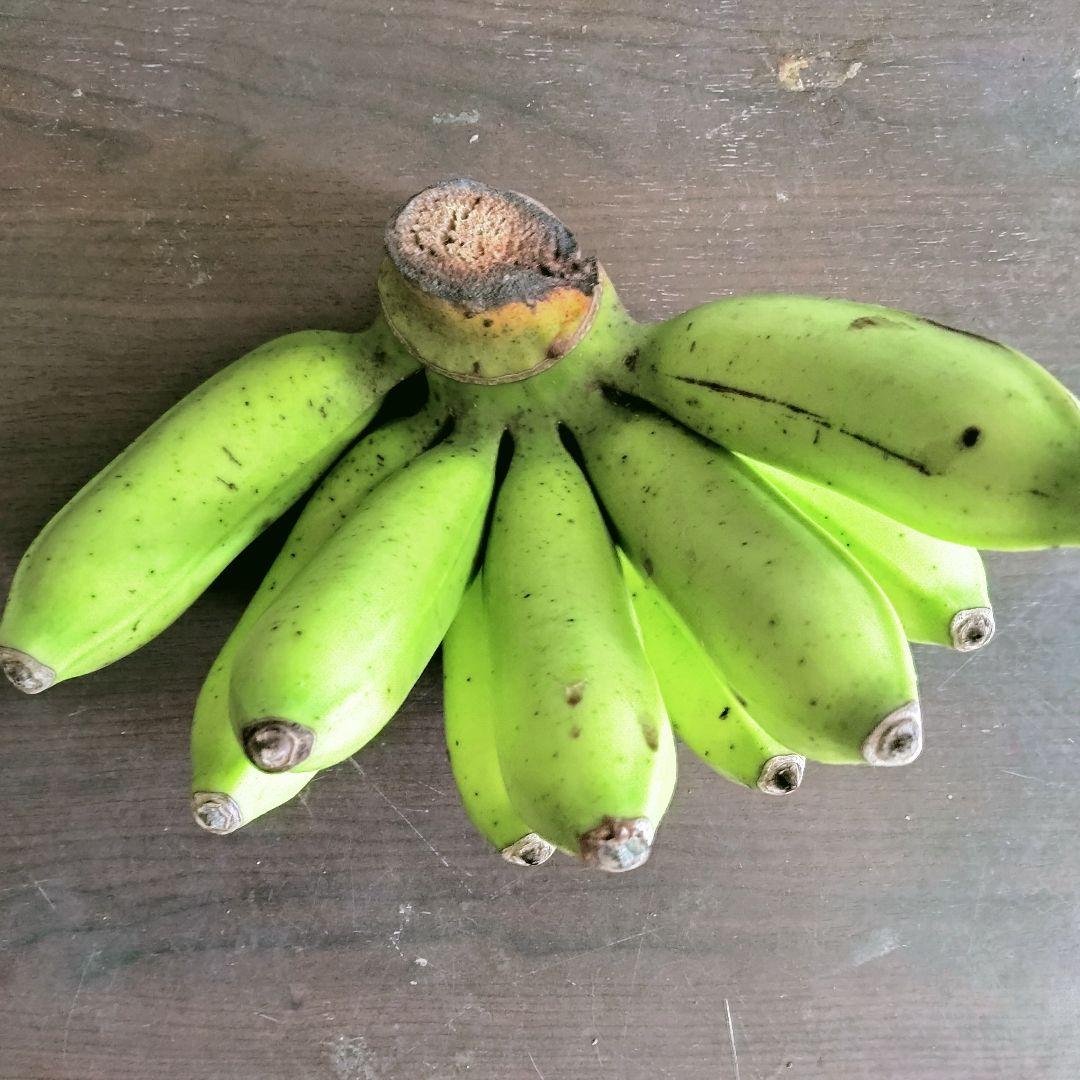 沖縄県産 島バナナ(小笠原種)Ｂ品 約10kg【常温便】①