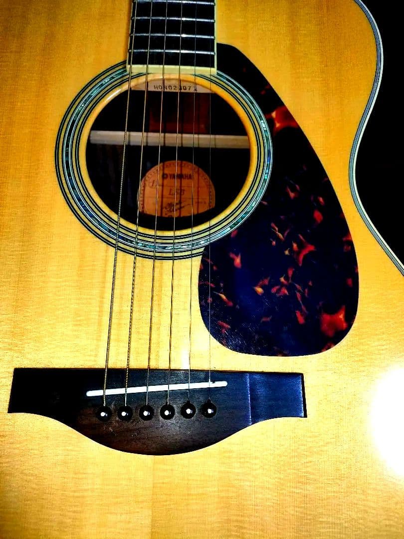 YAMAHA　ls6 are アコギ　ソフトケース付